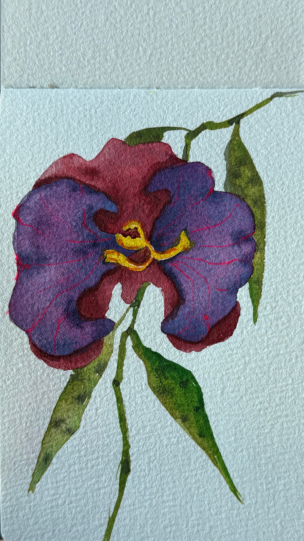 Stormflower
