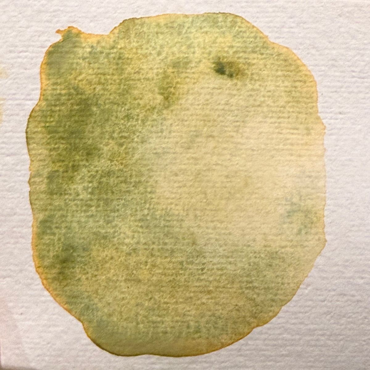 Lichen