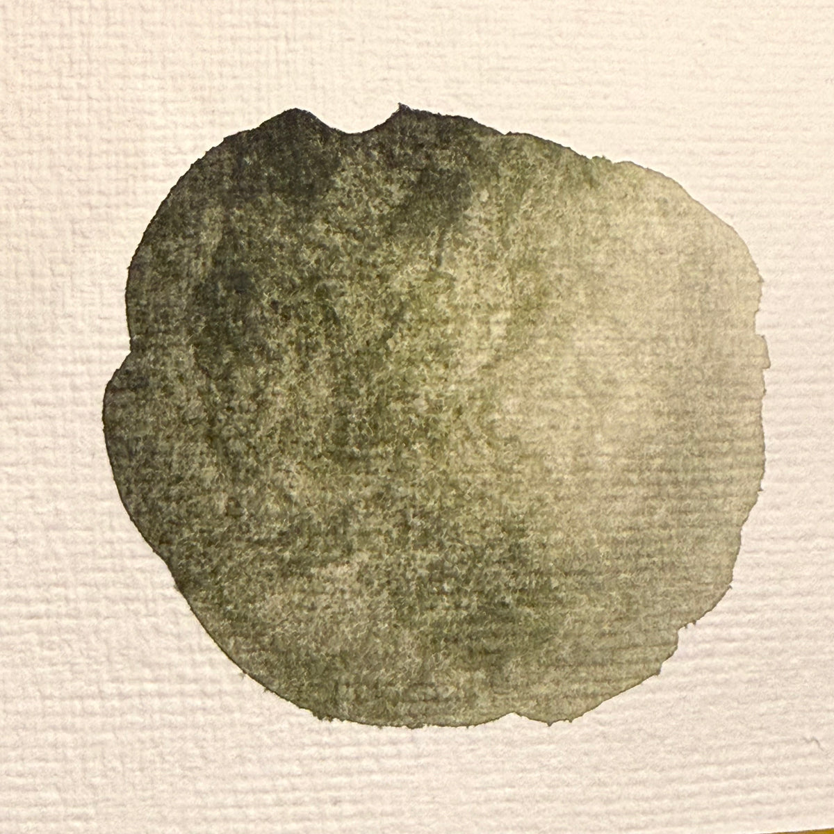 Black moss