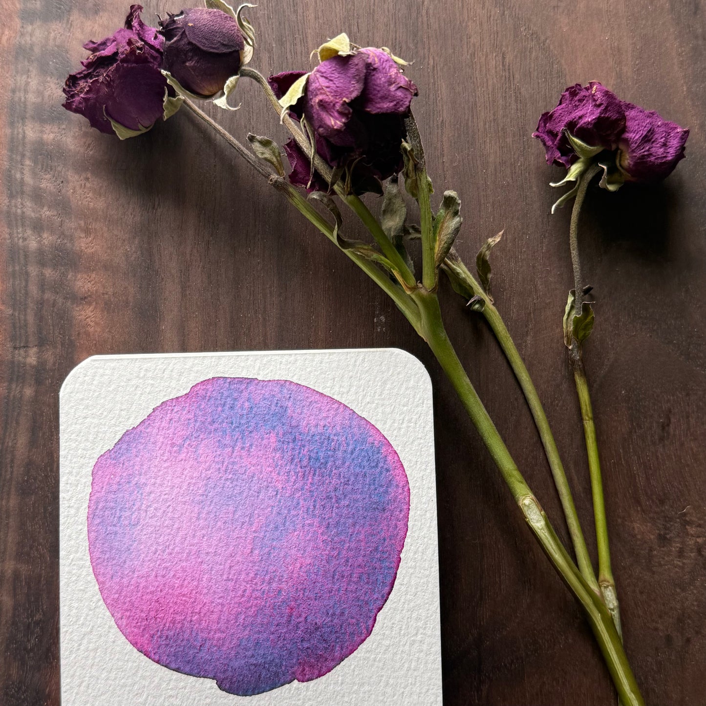 Stormflower
