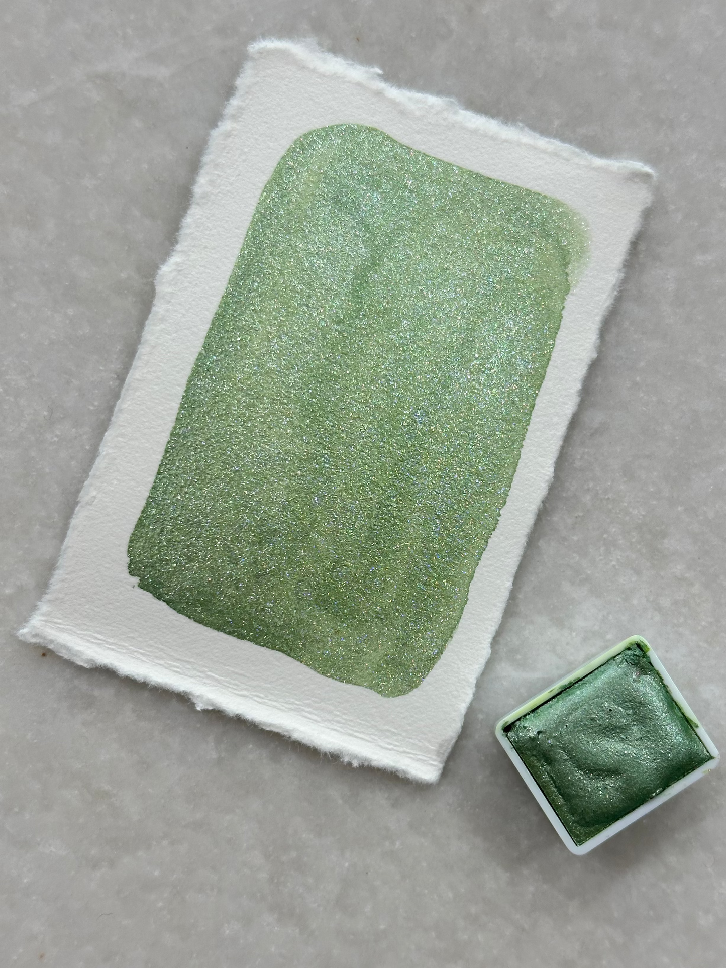 Grass